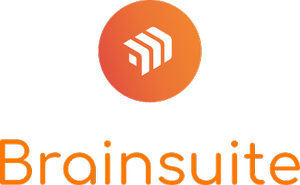 brainsuite footer logo